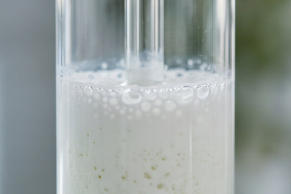 Functional Cream Selection Criteria: A Complete Guide by Texture, Concentration, and Feel